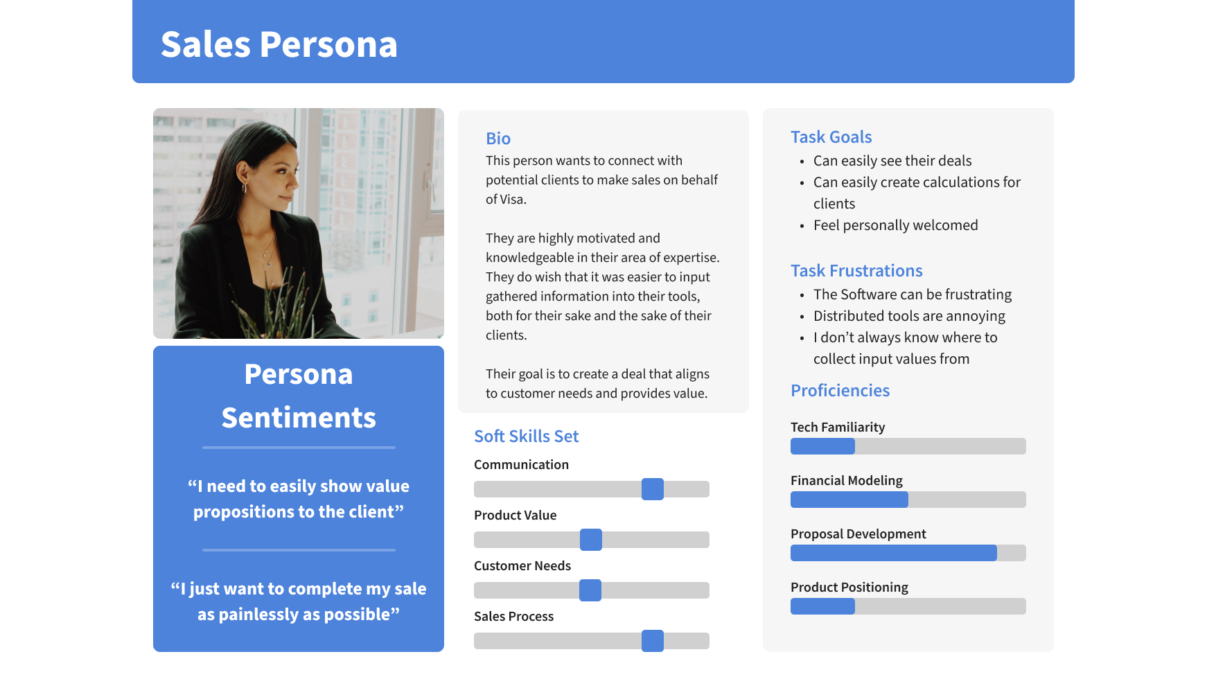 Visa's primary user persona, their internal sales representative